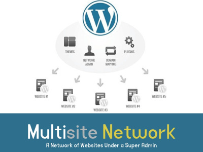 A Professional WordPress Multisite Setup & Customization for Your ...