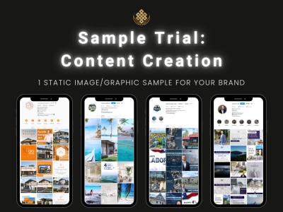 A Paid Sample Trial – Custom REAL ESTATE INFOGRAPHIC