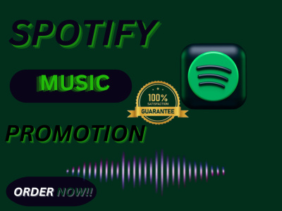 Organic Spotify music promotion with targeted ads campaign