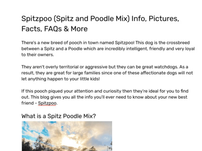 I offer professional blog writing and SEO content