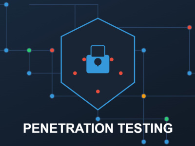 Professional Penetration Test and a Report!