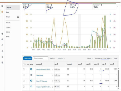 An Amazon Campaign Manager and Expert in Amazon PPC