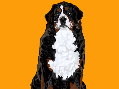 Exclusive Tailored Pet Portraits