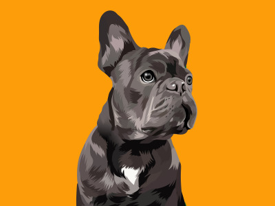 Exclusive Tailored Pet Portraits