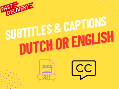A subtitle SRT file in dutch in 24 hours