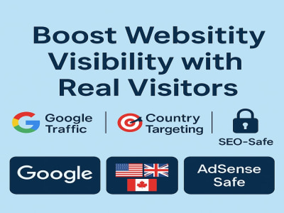 Targeted, Real Website Visitors for SEO & Brand Awareness