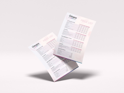 A premium Price List or Menu Design