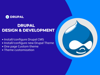 Professional Drupal 11 Website Development & Custom Theme Services
