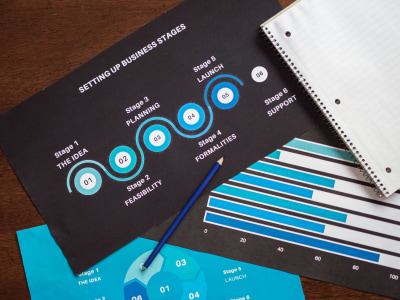 Marketing and Growth Strategy