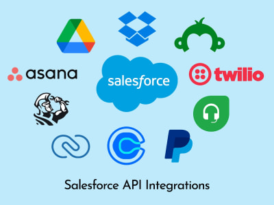 Salesforce API Integration Specialist