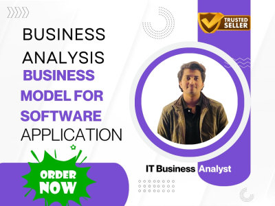 Business analysis and business model for software application