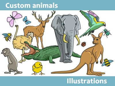 Animals | Colorful Illustrations | Vector or Raster