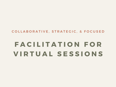 A Facilitated Virtual Stakeholder Session for Your Nonprofit or Initiative