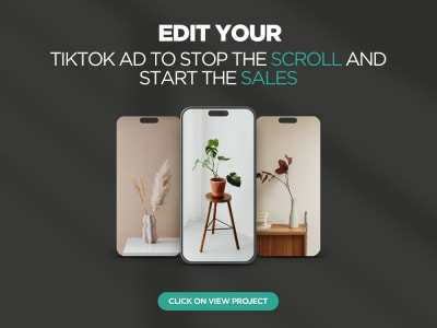 TikTok UGC Edited Video Ad With High-Converting Hook, Retention & CTA