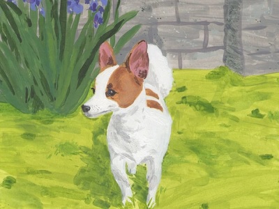 A beautiful pet portrait
