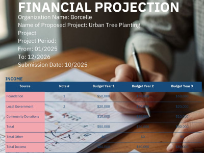 Business Plan including 5 years Financial Projection Fix, edit Template
