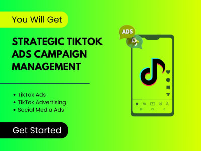 Strategic TikTok Ads Campaign Management