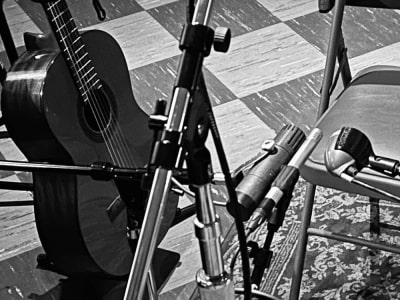Professionally recorded guitar for you song or project