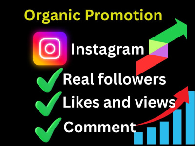 Targeted Instagram organic promotion and organic growth & safe