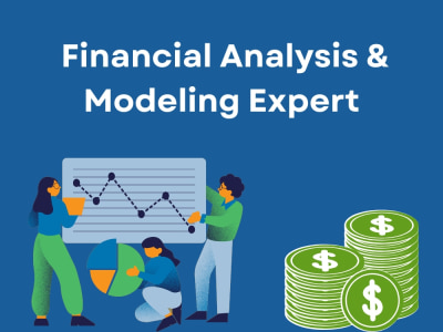 Chartered Accountant, Financial Modeler, Business Analyst