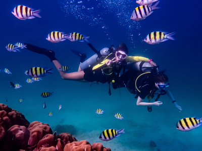 Expert scuba diving content written by an experienced instructor