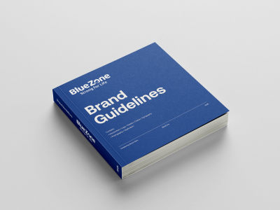 Signature Brand Guide for your Business
