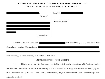 A well- drafted Complaint to help you get legal redress in Court.