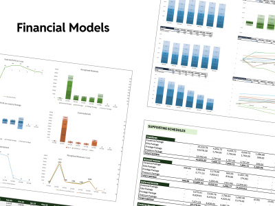 Custom Financial Model for Startups, Investors & Businesses