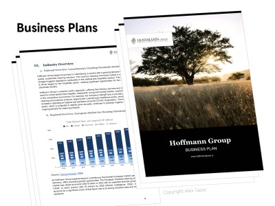 A detailled Business Plan for your next venture