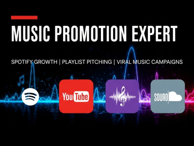 Spotify Playlist Pitching Campaign