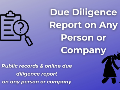 Detailed Due Diligence Report on Any Person or Company