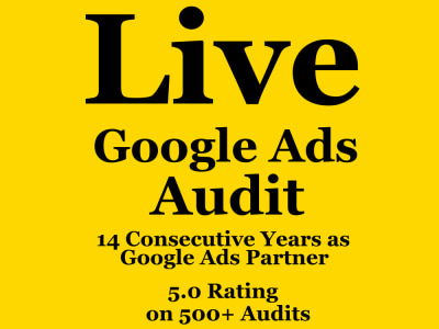 A Live, Same Day, One Hour Google Ads Consultation