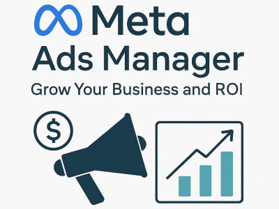 A facebook meta ads campaign manager & Media Buyer