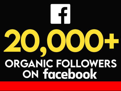 Facebook Followers and Facebook Page Like