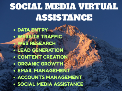 Social media marketing manager and virtual assistant for all store growth