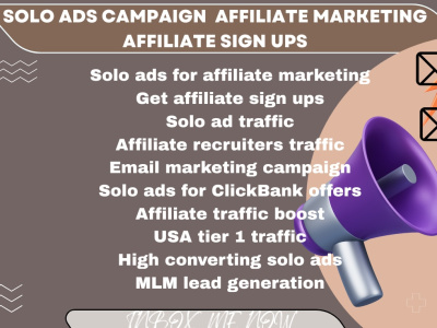 Affiliate management expert needed to increase sales | Solo ads