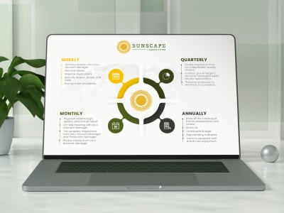 Branded chart, infographics and data visualization graphics