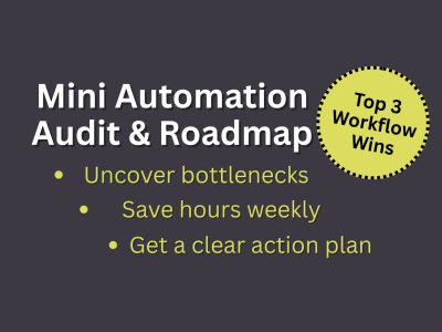 Mini Automation Audit & Roadmap – Your Top 3 Workflow Wins