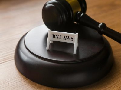 Professionally drafted Corporate Bylaws.