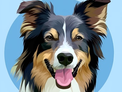 Pet portrait by oil painting, vector art, pop art, wpap, abstract