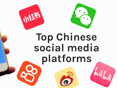 A LRB/Little Red Note/TikTok/ Chinese social media platform management
