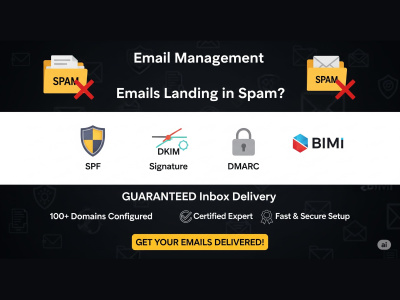 DNS records configured SPF, DKIM, DMARC, BIMI for perfect email delivery