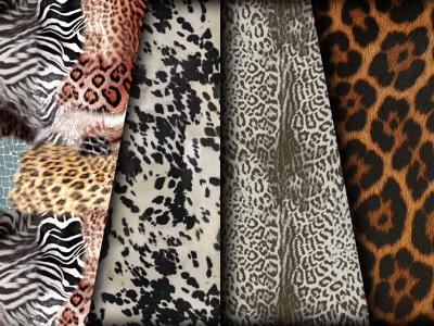Seamless Animal Texture Print & Repeating Pattern Design Expert
