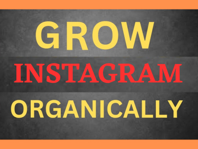 Organic Instagram Engagement & Growth Specialist