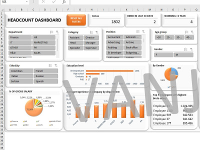 An Excel headcount dashboard  - ready to use
