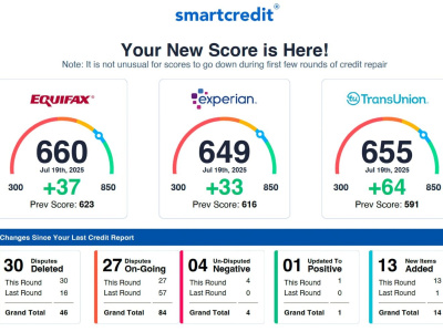 Professional Financial Consulting 1 Round (FTC,CFPB,Freezez)