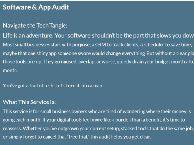 Comprehensive Audit of Your Business Software Tools