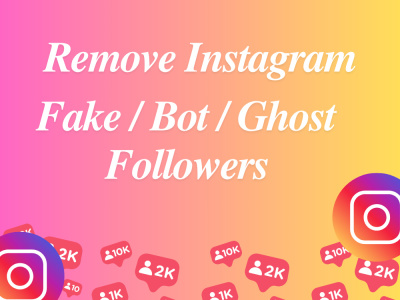 Remove Instagram fake followers and clean Instagram