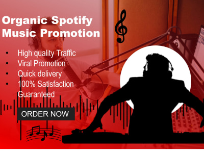 Promotion for your song through powerful digital strategy
