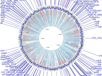 Bioinformatics and proteomics services and analysis